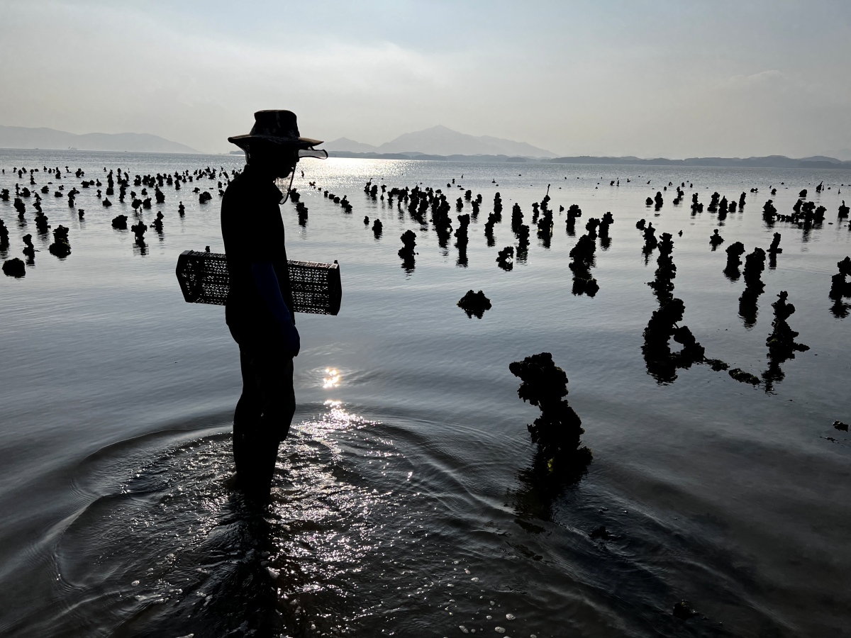 한산한 어촌 포구의 풍경